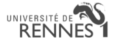 Université de Rennes